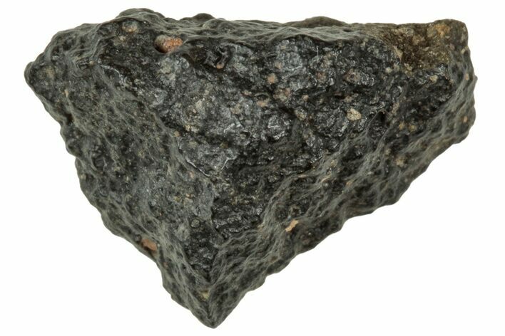 Abadla CM Chondrite Meteorite ( g) - Algeria #313037